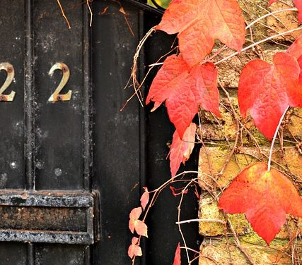 Your Home Autumn To Do List