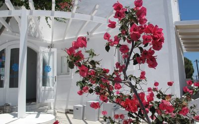 Spring Home Maintenance List