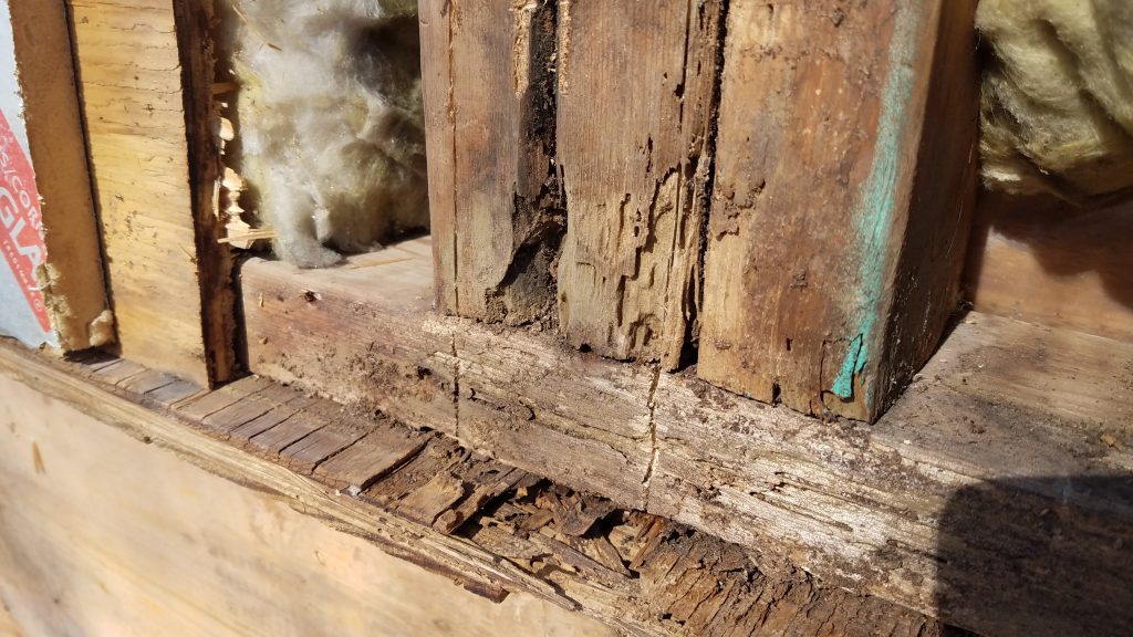 Wood Rot in Your Home - Remodeling and Construction Kansas City