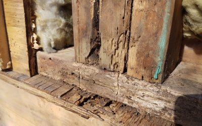 Wood Rot in Your Home