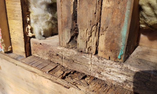 Wood Rot in Your Home